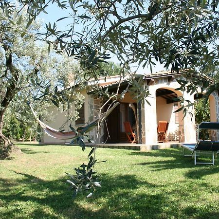 Casetta Sulla Bolgherese Immersa Nel Verde Castagneto Carducci Exterior foto