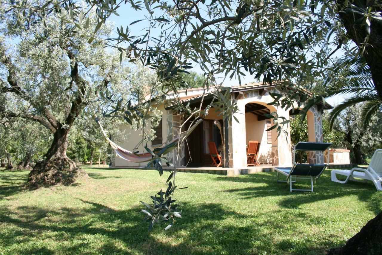 Casetta Sulla Bolgherese Immersa Nel Verde Castagneto Carducci Exterior foto