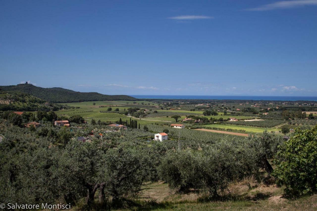 Casetta Sulla Bolgherese Immersa Nel Verde Castagneto Carducci Exterior foto