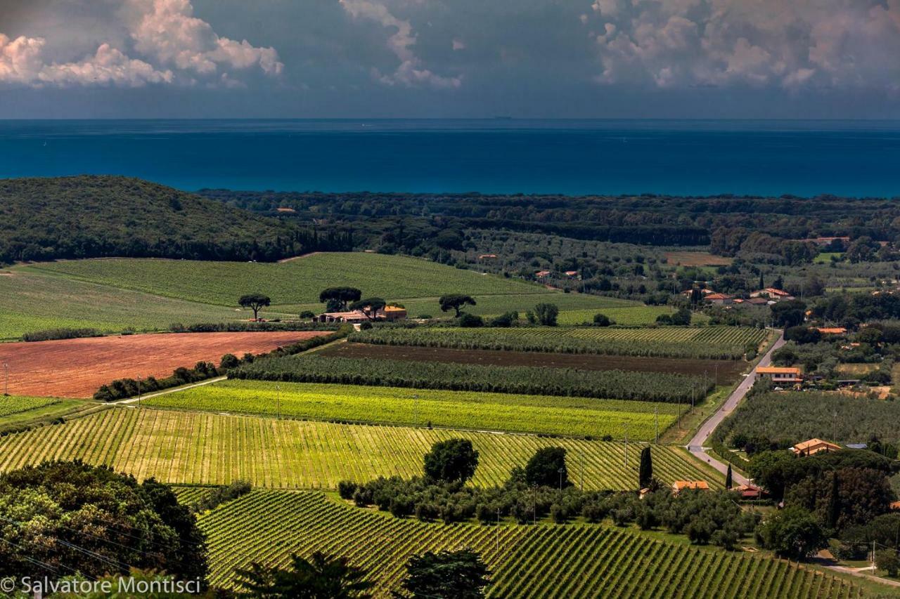 Casetta Sulla Bolgherese Immersa Nel Verde Castagneto Carducci Exterior foto